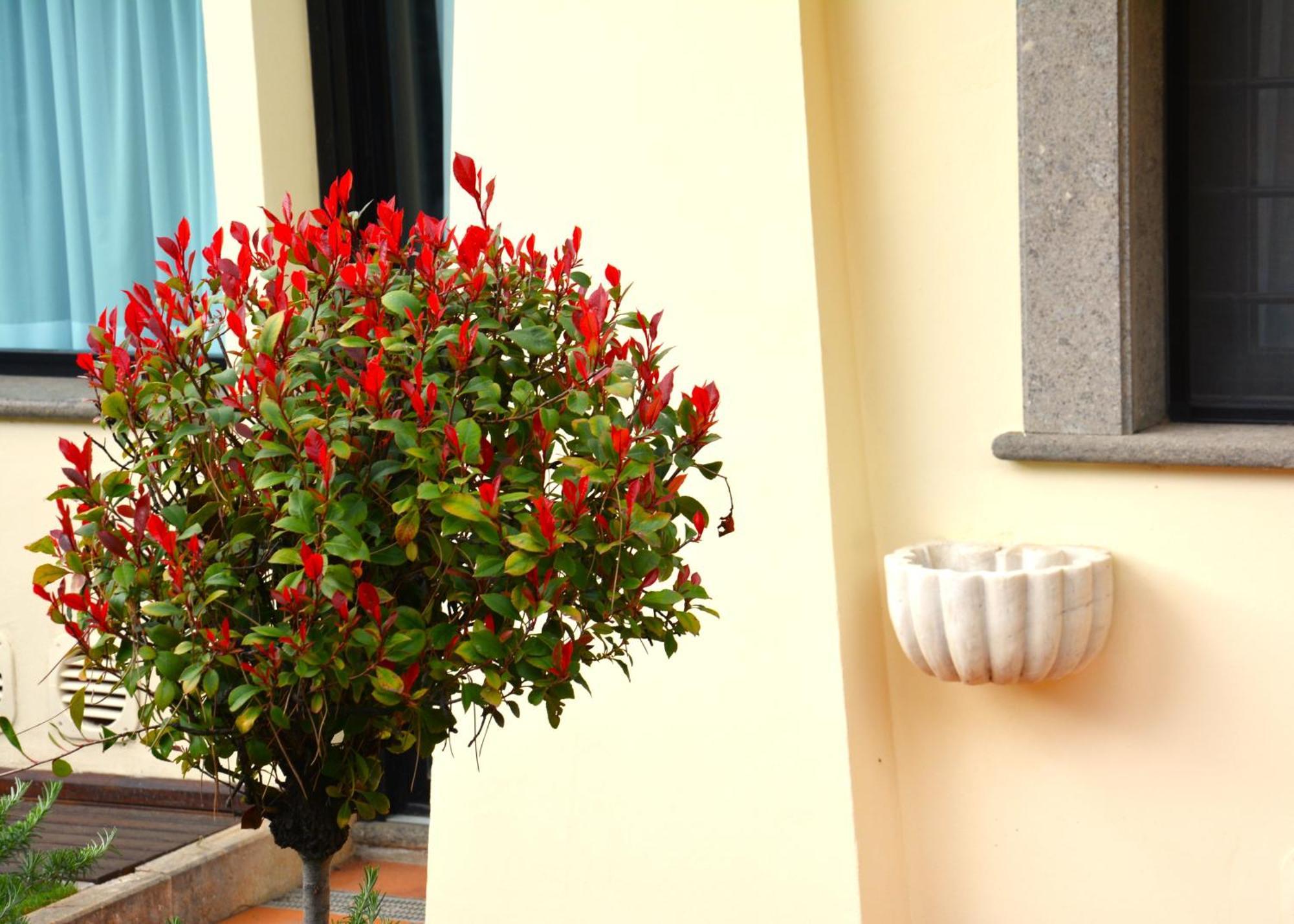 Gemelli Hotel روما المظهر الخارجي الصورة